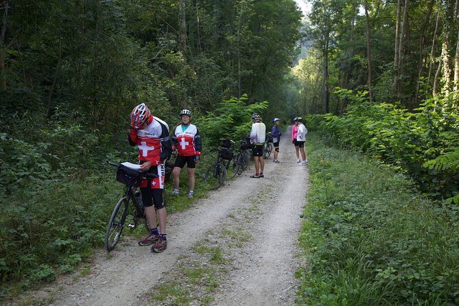 11-Day Private Lite Tour Across Switzerland by Bike from Geneve - What the 11-day route really feels like
