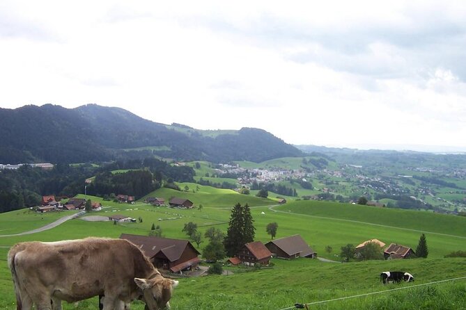 11-Day Private Lite Tour Across Switzerland by Bike from Geneve - Day 5: Soleure and a medieval hospital