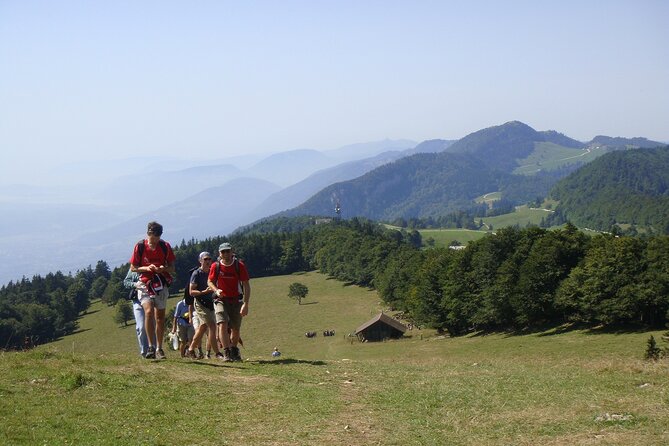 11-Day Private Lite Tour Across Switzerland by Bike from Geneve - Day 2: Morges and the first lakeside finish
