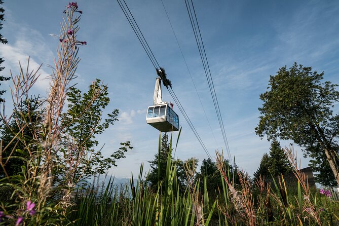 2-Day Mt Rigi Tour from Zurich Including Mineral Baths and Lake Lucerne Cruise - Dinner and breakfast add useful value