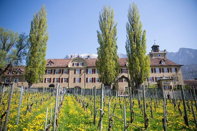 3 Hour Unique Wine Tour - Half Day in Swiss Alps - Walking through vineyards and local cellars