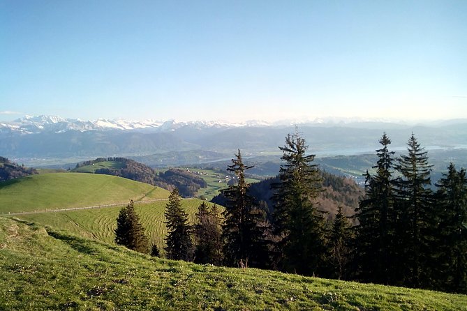 4-hour Quad Tour near Zurich - Key points before you book