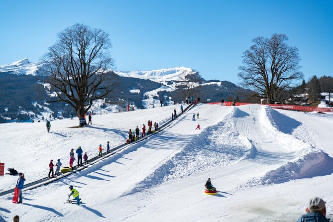 Afternoon Beginner Package Ski in Interlaken - What you learn during the 2.5-hour lesson