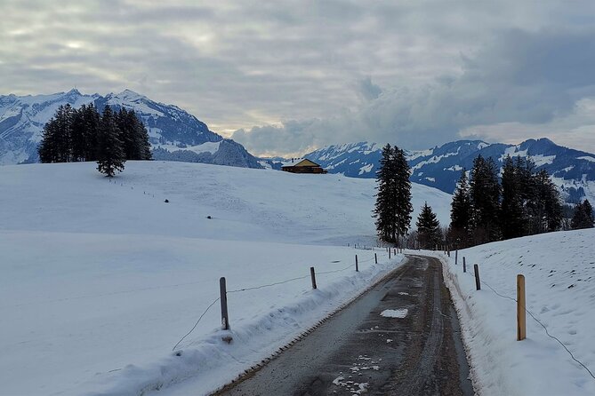 All Inclusive Rhine Falls and Appenzell Private Day Tour from Zurich - Who Should Book This Experience?