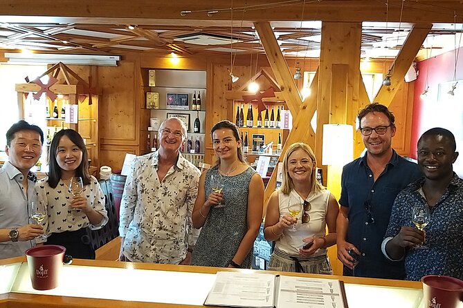Alsace wine tour and medieval villages. Small group guided tour - Key points to know before booking