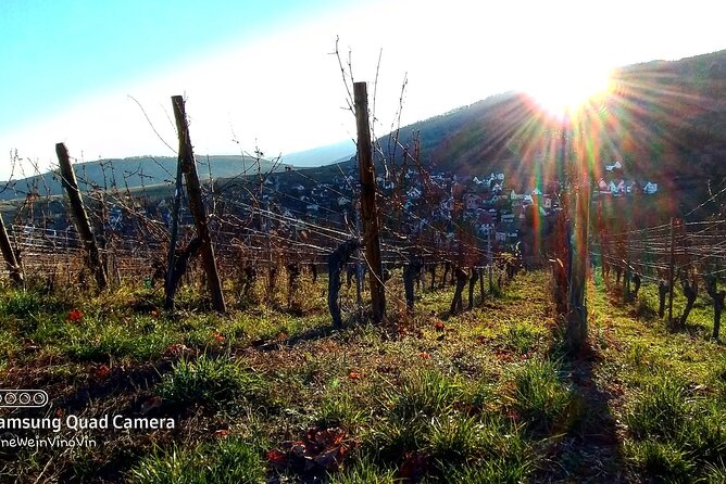 Alsace wine tour and medieval villages. Small group guided tour - A guide who shapes the day around you
