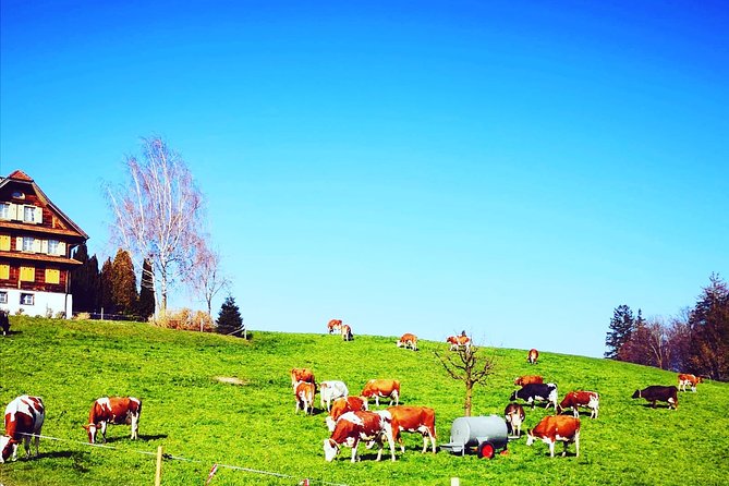 Appenzell and Liechtenstein Tour from Zurich - Appenzell and its painted wooden houses