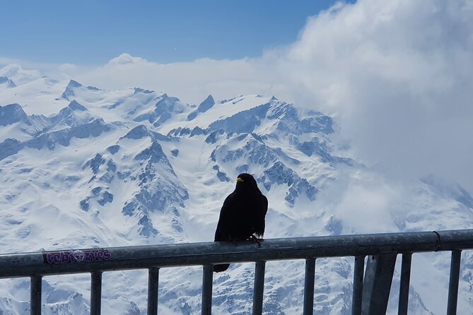 Attraction Ticket: Mt. Titlis by Train and Cableway from Lucerne - What the $277.15 price means