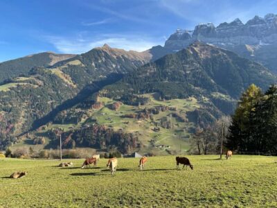 Basel: Local Cheese Tasting Tour with a Cheese Sommelier
