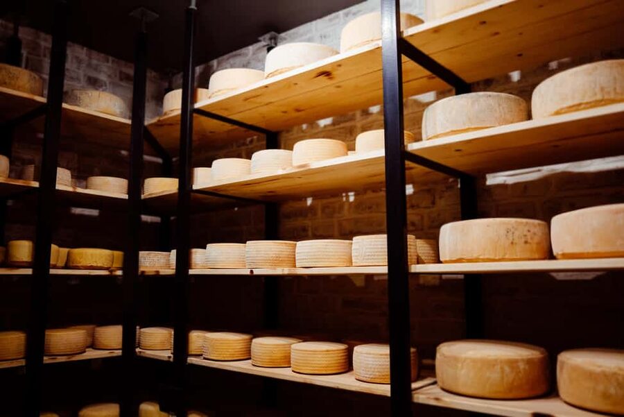 Basel: Local Cheese Tasting Tour with a Cheese Sommelier - What AOP means for Gruyère