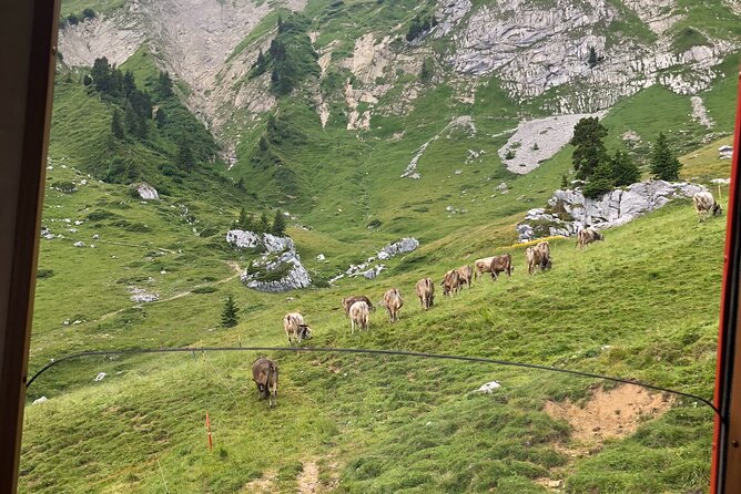Basel Private tour - Mt. Pilatus and Cruise on Lake of Lucerne - Why a private guide changes the day
