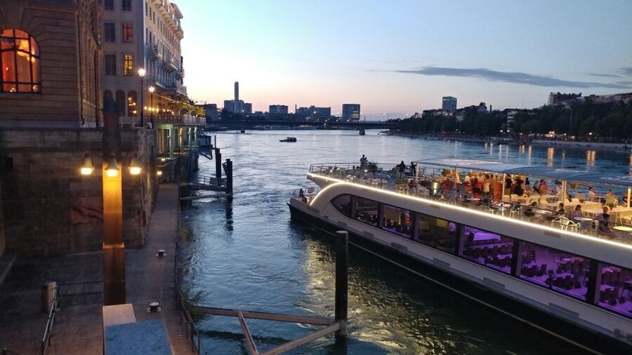 Basel: Private Walking Tour with a Local Guide - Private pacing, pickup, and walking demands