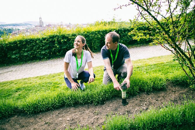 Bern Foxtrail slate - Key points to know before you book
