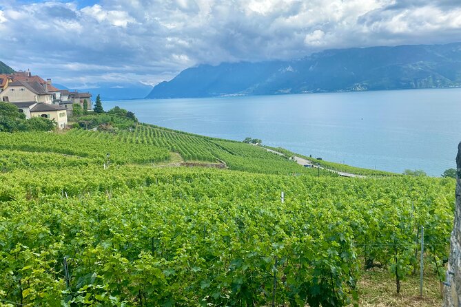 Bern Private Tour - Gruyères , Cheese, and Lavaux's UNESCO Wine - La Maison du Gruyère and the making of AOP cheese