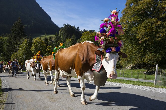Berne the Capital and Cheese paradise Emmental (Private Tour) - What the private format really gives you