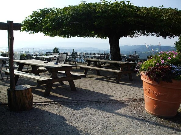 Best of Zurich Tour with Felsenegg Cable Car and Ferry Ride - Zurich by coach: Bahnhofstrasse, the museum quarter, and Zürichberg