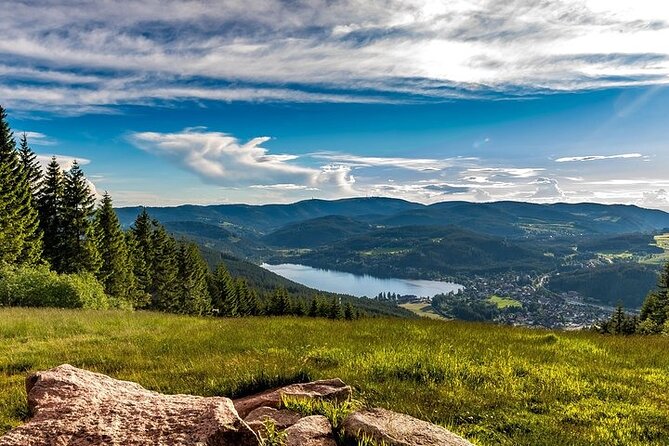 Black Forest and Rhine Falls Day Trip from Zurich - Through Lenzkirch and back toward Switzerland