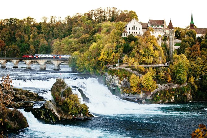 Black Forest and Rhine Falls Day Trip from Zurich - Is the $103.95 fare good value?