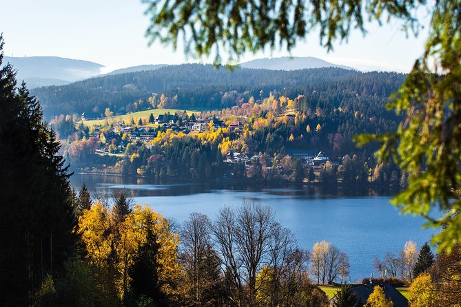 Black Forest and Rhine Falls Day Trip from Zurich - Group size, comfort, and guide quality