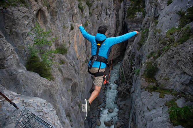 Canyon Swing with OUTDOOR - Is $185.55 a fair price?