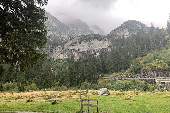 Canyoning Experience Grimsel from Interlaken - Who should book this canyoning trip?