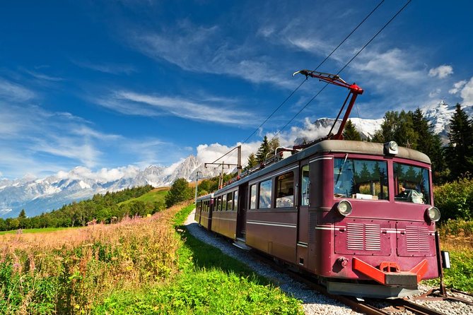 Chamonix and Mont Blanc Private Day Trip from Geneva - What the $533.89 price really buys