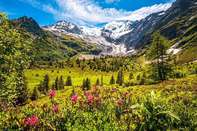Chamonix and Mont Blanc Private Day Trip from Geneva - The approach through the Alpine valley