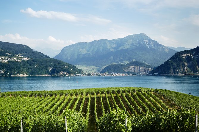 Chocolate, Cheese and Wine Tour in Luzern region - Why the private guide changes the day