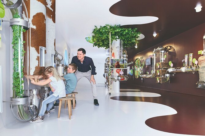 Chocolate factory Individual experience tour - Key points to know before booking