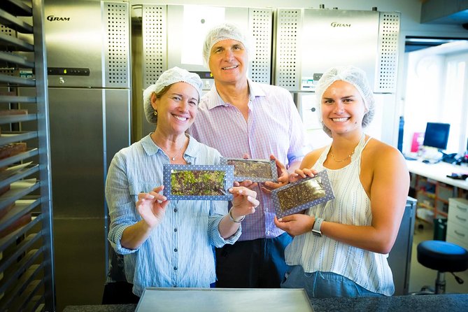 Chocolate Tasting with Lake Trip and City Tour: The Ultimate Lucerne Experience - What the guide adds to the day