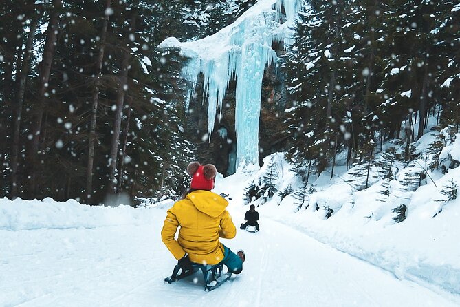 Day Sledding in Interlaken - Key points to know before you book