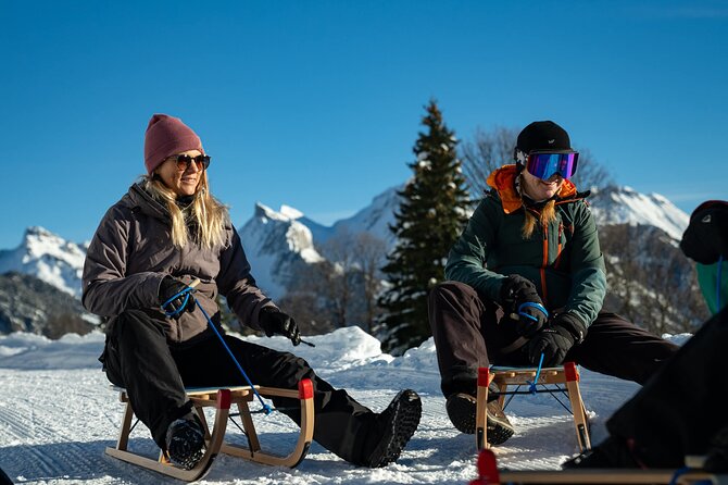 Day Sledding in Interlaken - Who will enjoy this most?