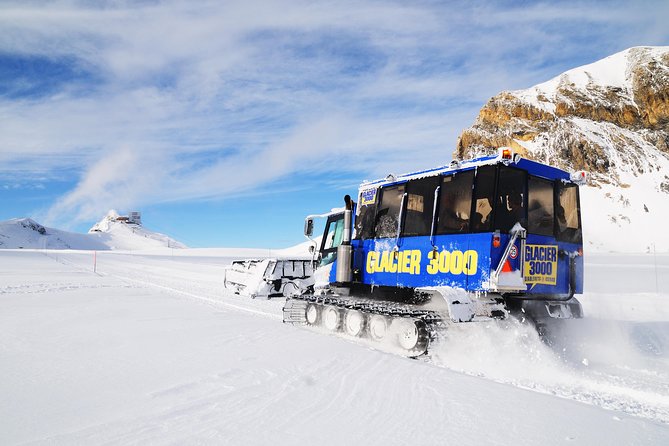 Day trip to Glacier 3000 from Montreux - Alpine Coaster, snow bus, and other add-ons