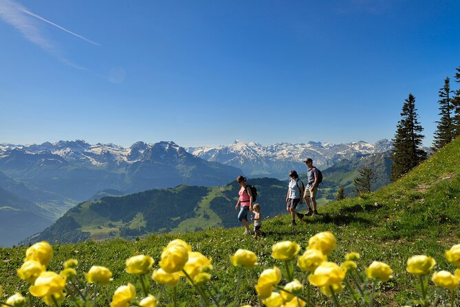 Day Trip to Lucerne and Mount Stanserhorn Including CabriO Cable Car Ride - What the $191.59 price really covers