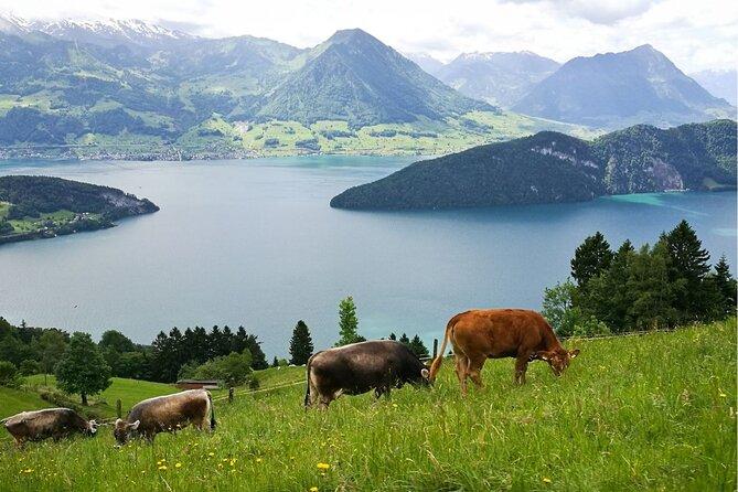 Day Trip to Lucerne and Mt. Rigi with a local from Zurich - Lucerne’s bridges, churches, and lakefront