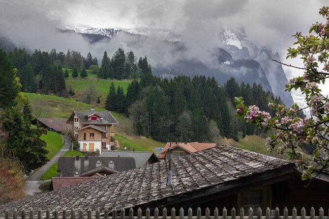 Daytrip to Swiss Villages: Interlaken Grindelwald & Lauterbrunnen - How much guiding should you expect?