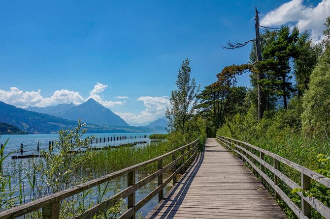 Discover Interlaken’s most Photogenic Spots with a Local - A short walk with a clear purpose