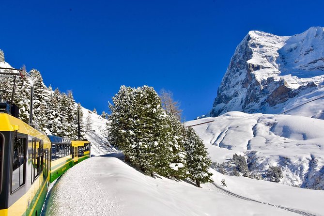 Eiger and Jungfrau Glacier Panorama Tour from Zurich - Is this Jungfrau’s Top of Europe?