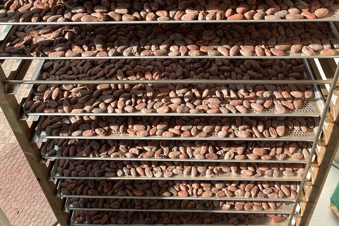 Ethical Chocolate Tour - Who will enjoy this experience most