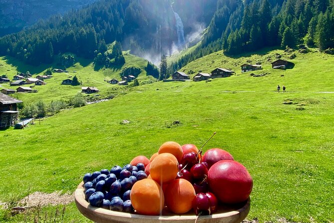 Flavours of Switzerland Luxury Private Tour from Zurich & Lucerne - What the private format really adds