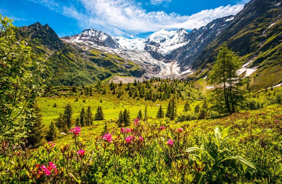 From Geneva: Chamonix Mont-Blanc Private Day Trip - What the $706 price means