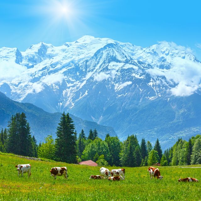 From Geneva: Chamonix Mont-Blanc Private Day Trip - Weather, timing, and practical preparation
