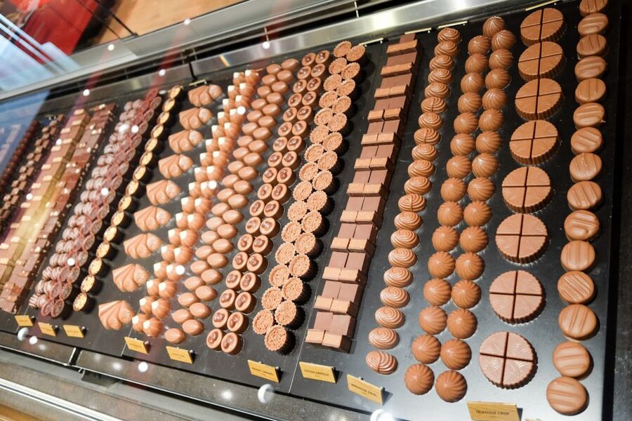 From Geneva: Gruyères Cheese & Chocolate Full-Day Trip - A full day in the Fribourg Alps