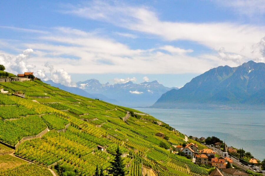 From Geneva: Gruyères Private Tour Cheese & Chocolat Factory - Who should book this experience