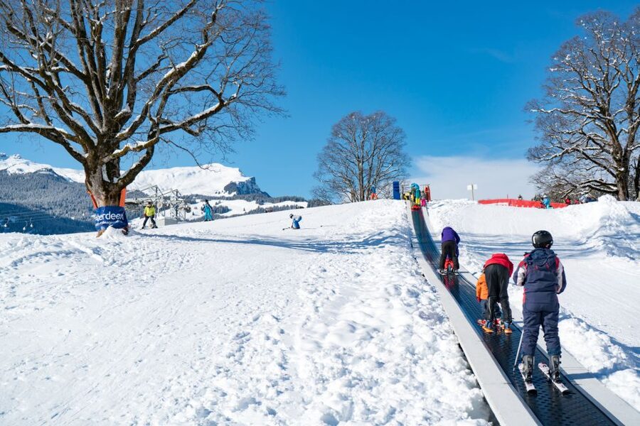 From Interlaken: Grindelwald Beginners Snowboarding Lesson - What is included for the $256 price