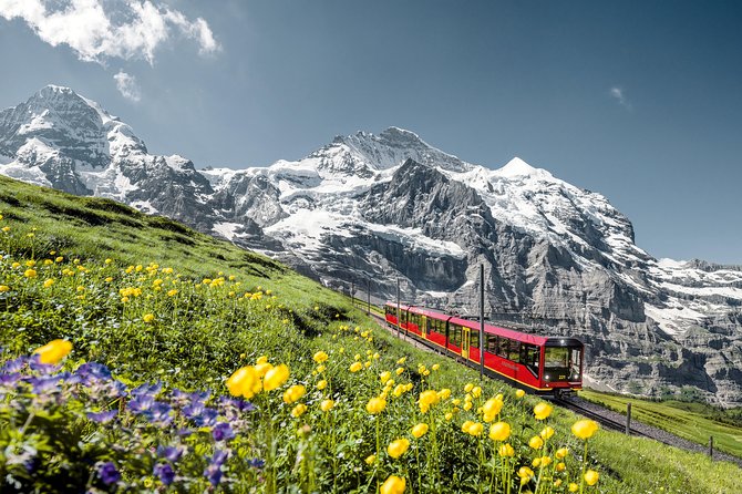 From Interlaken: Jungfraujoch Top of Europe Ticket - The Plateau and the Aletsch Glacier