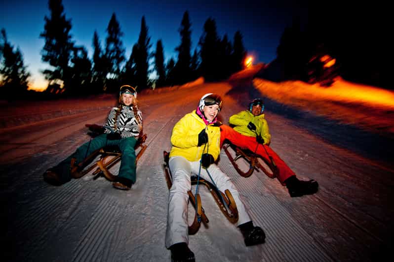 From Interlaken: Night Sledding - Key points to know before you book