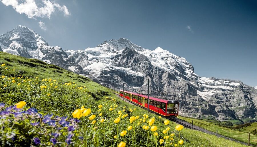 From Lucerne: Day Trip to Jungfraujoch – Top of Europe - Who should book this day trip?