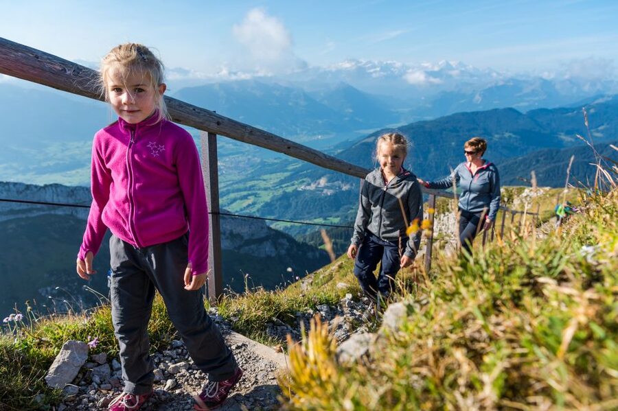 From Lucerne: Mt. Pilatus Gondola, Cable Car, and Boat Trip - The cogwheel railway down to Alpnachstad