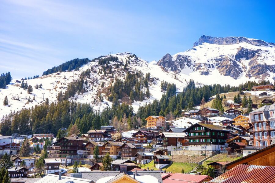 From Lucerne: Private Day Tour to Interlaken and Grindelwald - Why this private Lucerne day trip works